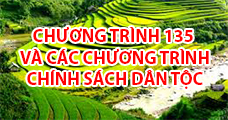 Chương trình 135